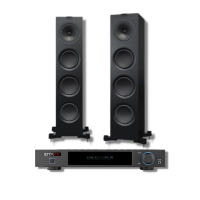 Комплект Интегральный стереоусилитель IOTAVX SA3 + Напольная акустика KEF Q750 BLACK