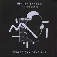Виниловая пластинка HIDDEN SPHERES / WORDS CAN'T EXPLAIN (1LP)