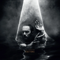Виниловая пластинка Editors / In Dream (1LP)