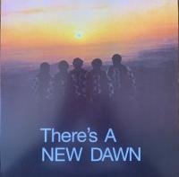 Виниловая пластинка The New Dawn / There's A New Dawn (Orange Metallic, RSD, Limited) (1LP)