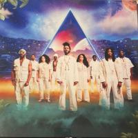 Виниловая пластинка Steam Down / Five Fruit (Black Vinyl) (LP)
