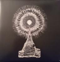 Виниловая пластинка The Wounded Kings / Visions in Bone (2xLP)