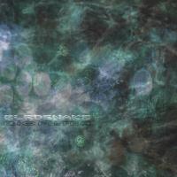 Виниловая пластинка Birdsnake / Biofilter (1LP)
