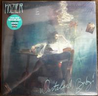 Виниловая пластинка Hozier / Wasteland / Baby! (Black VInyl) (2LP)