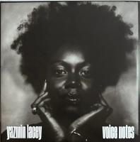 Виниловая пластинка Yazmin Lacey / Voice Notes (2LP)