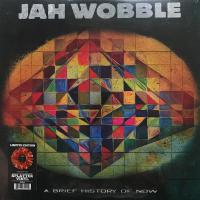 Виниловая пластинка Jah Wobble / A Brief History Of Now (Red/Black Yellow Vinyl) (1LP)