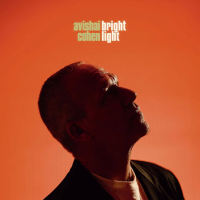 Виниловая пластинка Cohen Avishai / Bright Light (2LP)