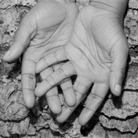 Виниловая пластинка Kokoroko / Could we be more remixes (1LP)