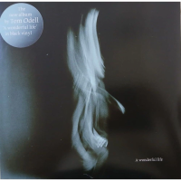 Виниловая пластинка Tom Odell / A Wonderful Life (1LP)