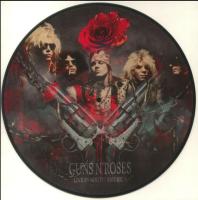 Виниловая пластинка Guns N' Roses / Live In The South America (Picture Disc) (1LP)