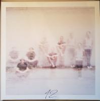 Виниловая пластинка Annenmaykantereit / 12 (Recycled Vinyl / Green Coloured Vinyl) (2LP)