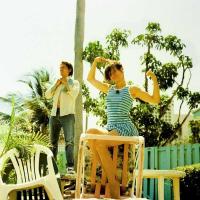 Виниловая пластинка The Do / Mouthful (2LP)