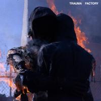 Виниловая пластинка Nowhere Nothing / Trauma Factory (LP)