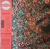 Виниловая пластинка Jaimie Branch / Fly Or Die Live (2LP)