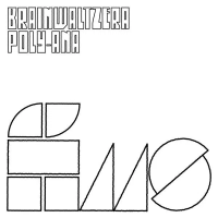 Виниловая пластинка Brainwaltzera / Poly-Ana (2LP)