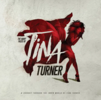 Виниловая пластинка Various Artists / The Many Faces Of Tina Turner (coloured) (2LP)