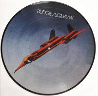 Виниловая пластинка Budgie / Sqawk (1LP)