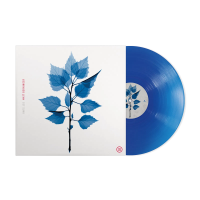 Виниловая пластинка Matt Berninger / Get Sunk (coloured) (1LP)