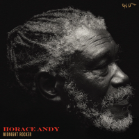 Виниловая пластинка Horace Andy / Midnight rocker (1LP)