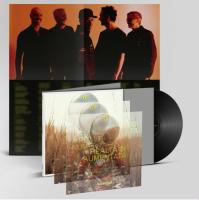 Виниловая пластинка Subsonica / Realta Aumentata (1LP)