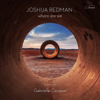 Виниловая пластинка Joshua Redman / Where Are We (2LP)