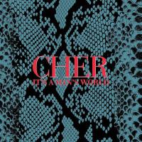 Виниловая пластинка CHER / IT'S A MAN'S WORLD (Deluxe Edition, Red/Blue/Yellow/Green Vinyl) (4LP)