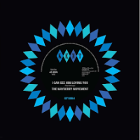 Виниловая пластинка The Mayberry Movement / I can see him loving you / what did i do wrong? (1LP)