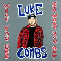Виниловая пластинка Luke Combs / What You See Is What You Get (2LP)