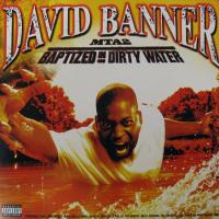 Виниловая пластинка David Banner / Baptized In Dirty Water (2LP)