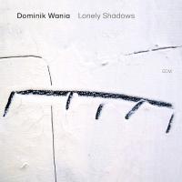 Компакт-диск Dominik Wania / Lonely Shadows (CD)