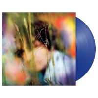 Виниловая пластинка Sam Amidon / Sam Amidon (Coloured Vinyl)(LP)