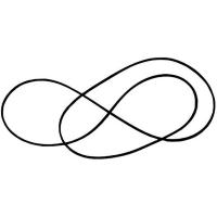 Пассик PRO-JECT -1 SIGNATURE 12 (Long)