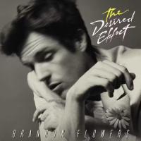 Виниловая пластинка Flowers Brandon / The Desired Effect (LP)