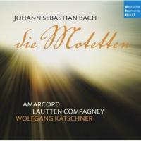 Компакт-диск Lautten Compagney / Die Motetten (1CD)