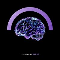 Виниловая пластинка Lucas Vidal / Karma (LP)