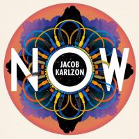 Виниловая пластинка Jacob Karlzon / Now (LP)