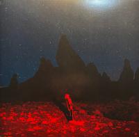 Виниловая пластинка PHOEBE BRIDGERS / PUNISHER (1LP)