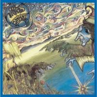 Виниловая пластинка Ozric Tentacles / Pungent Effulgent (1LP)