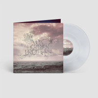 Виниловая пластинка Von Hertzen Brothers / In Murmuration (1LP)