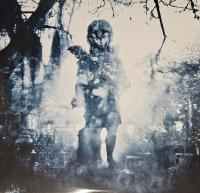 Виниловая пластинка Machine Head / Through The Ashes Of Empires (coloured) (2LP)