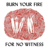 Виниловая пластинка Angel Olsen / Burn Your Fire For No Witness (1LP)