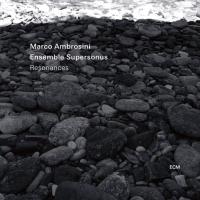 Компакт-диск Marco Ambrosini, Ensemble Supersonus / Resonances (CD)