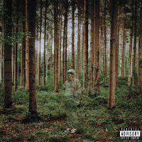 Виниловая пластинка GRANDSON / I LOVE YOU, I M TRYING (1LP)