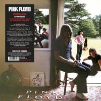 Виниловая пластинка Pink Floyd / Ummagumma (2LP)