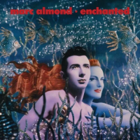 Виниловая пластинка Marc Almond / Enchanted (coloured) (2LP)