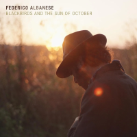 Виниловая пластинка Federico Albanese / Blackbirds And The Sun Of October (1LP)