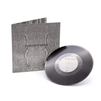 Виниловая пластинка Paysage D'Hiver / Im Traum (V10) (EP, V10, Limited) (1LP)