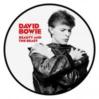 Виниловая пластинка David Bowie / Beauty And The Beast (Picture Disc)(7" Vinyl Single)