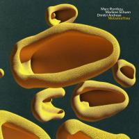 Виниловая пластинка Marc Romboy / Metamorfosa (2LP)