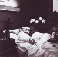 Компакт-диск Antony & The Johnsons / I am a bird now (Jewel)(1CD)